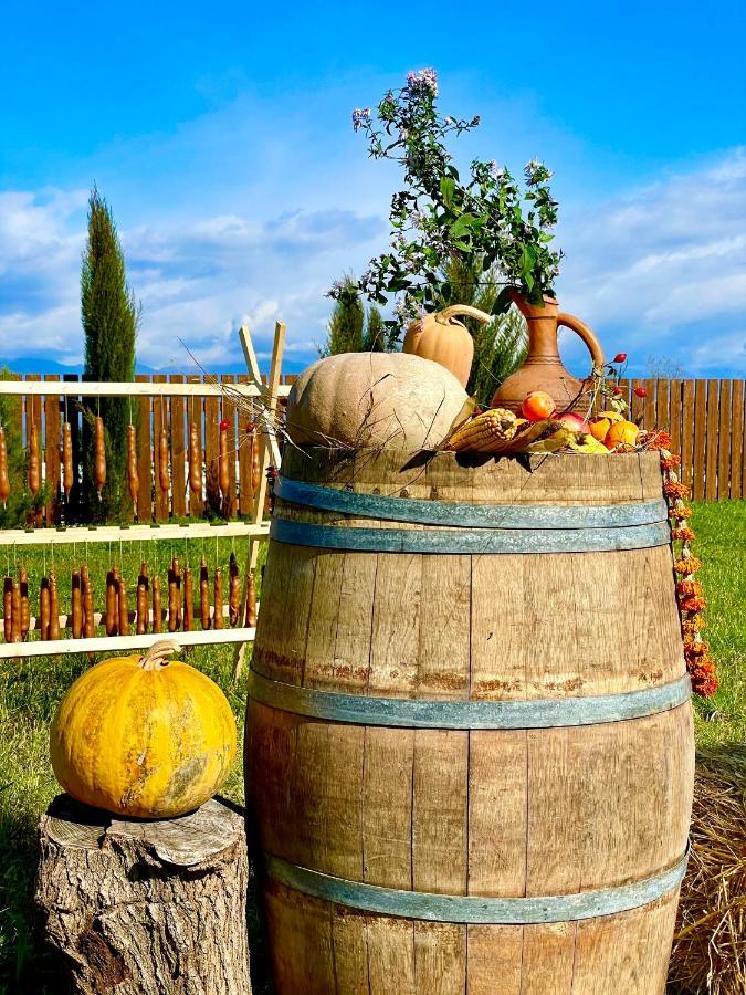 Отель Wine Телави Экстерьер фото